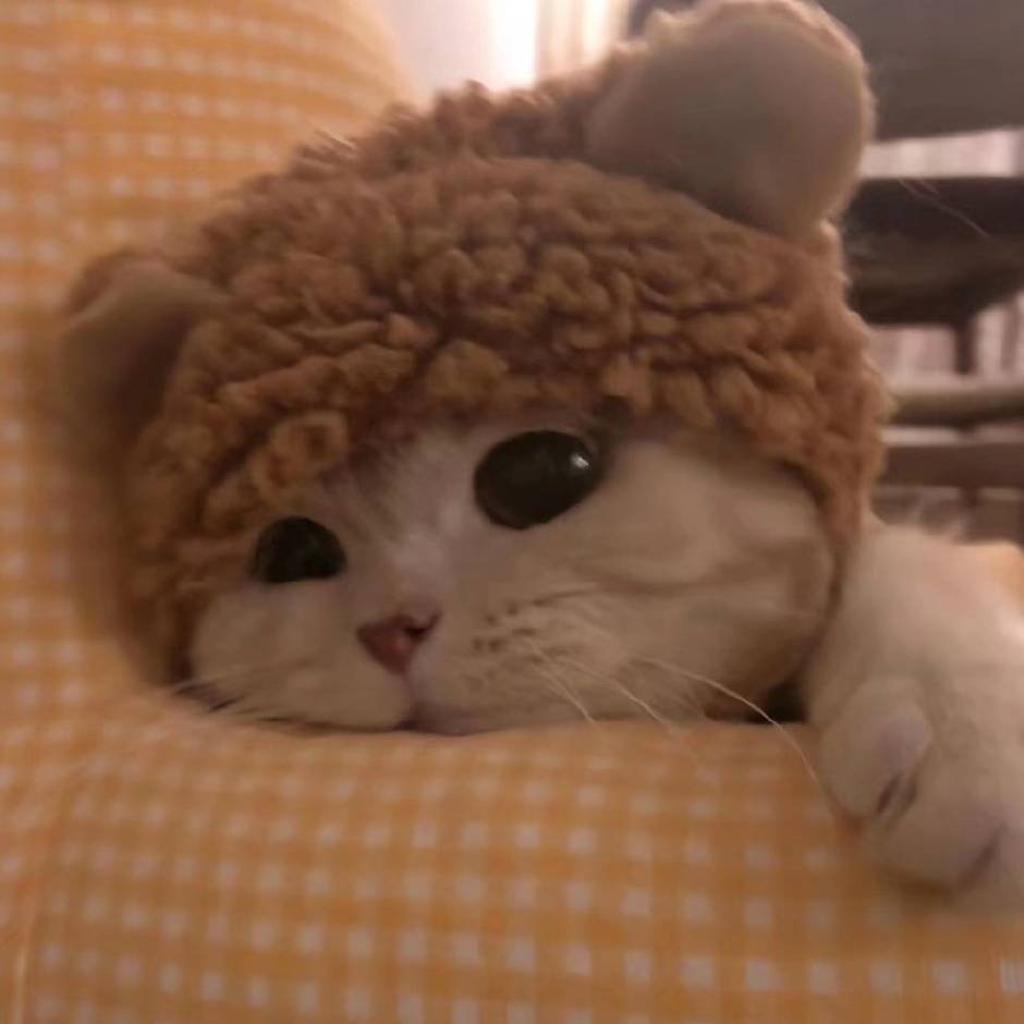 屈侯